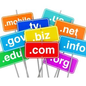 Domain registration website by Webzun the web designer in London